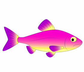 pink fish