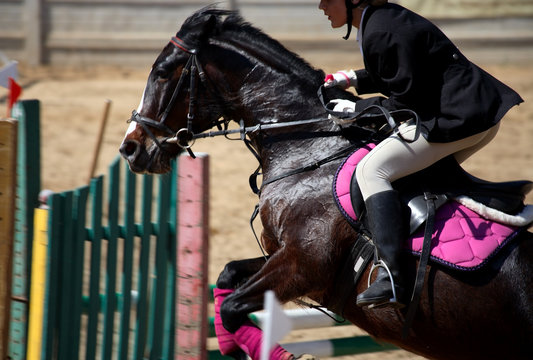 Woman on horse show jumping