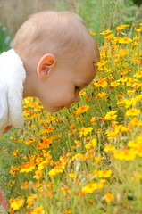 Kleinkind an Blumenwiese