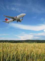Aircraft taking off over a wheat field