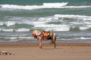 Touristenattraktion am Strand von Saidia, Marokko