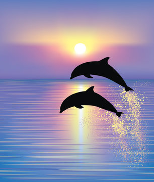 Dolphin Desktop Wallpaper (73+ pictures)
