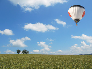 Balloon over a wheat field