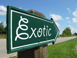 Fototapeta premium EXOTIC road sign