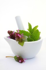 White mortar with  herbs