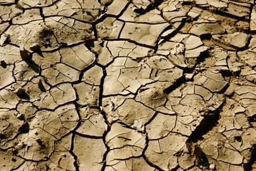 sécheresse