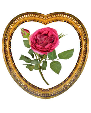 rose rouge dans un cadre en coeur doré