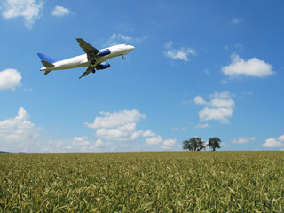 Aircraft taking off over a scenic wheat field