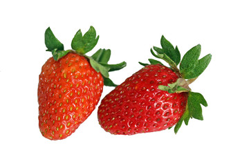Fresh fruit