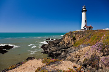 Fototapeta na wymiar Pigeon Point Lighthouse, California, USA