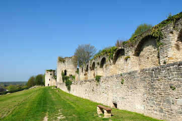 Fototapeta na wymiar Ostoją Charité-sur-Loire (58)