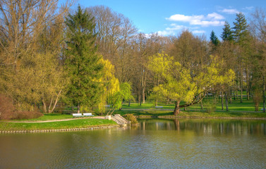 Fototapeta na wymiar colorful spring in a park