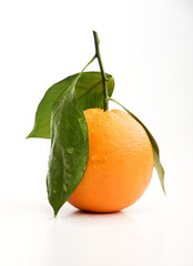Arancia con foglie