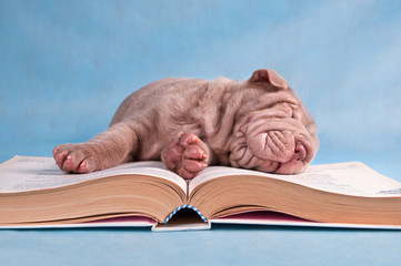 Tiresome Studies