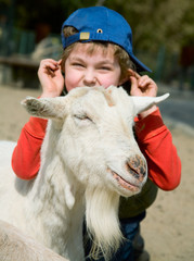 Boy hugging a goat - 22572288