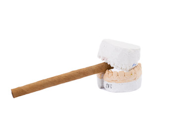 teeth plaster cast. Close up on white background