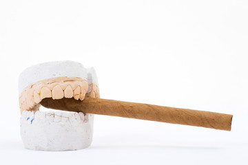 teeth plaster cast. Close up on white background