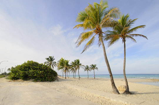 Tropical beach paradise - Santa Maria, east Havana, cuba.