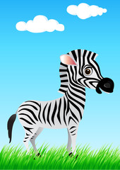 Funny zebra cartoon