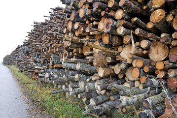 Stack of logs