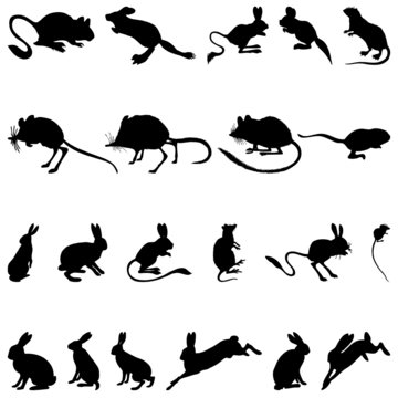 Collection of rodents silhouettes