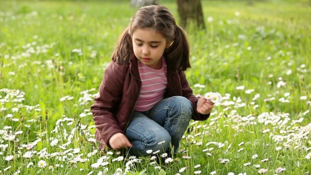 Little girl pick flowers in the meadow