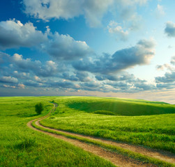 Summer landscape with green grass, road and clouds