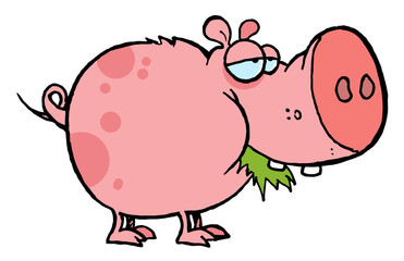 Chubby Spotted Pink Pig Munching On Grass
