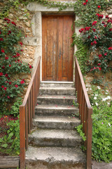 flowers in the garden