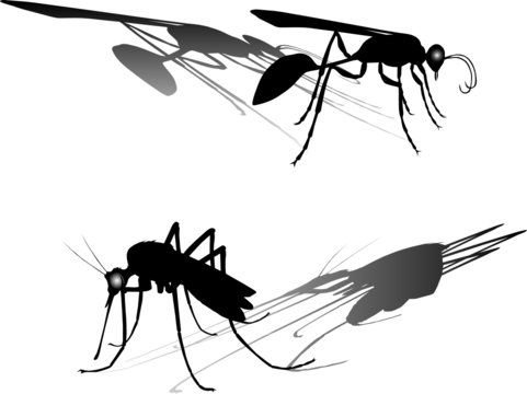 mosquitoe and flying ant vector illustration