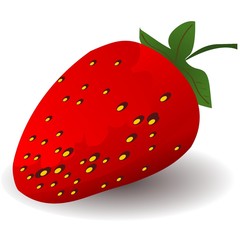 Obraz premium Fruit of a strawberry