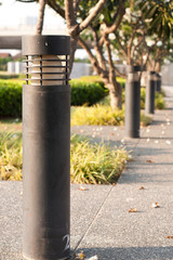 lamp in garden