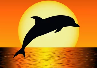 Fototapete Rund Delphin-Silhouette © matamu