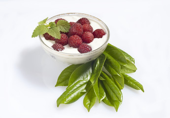 Woods fruits yoghurt 5