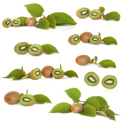 Kiwi Fruit Collection