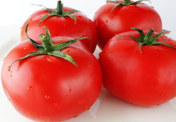 ripe tomatoes