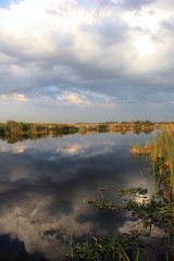 Cloudy Day Reflections