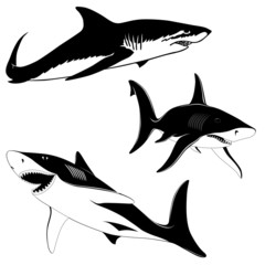 Set of three sharks