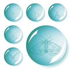 Set of butterflies button vector