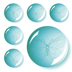 Set of butterflies button vector