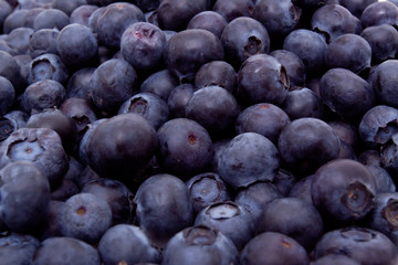 Fresh blueberries