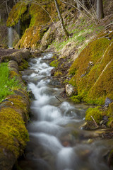 Obraz premium Wutachschlucht VII