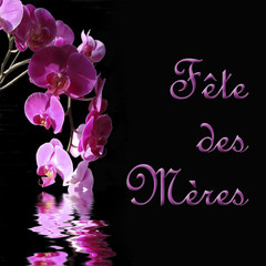 Fête des mères, orchidées fond noir