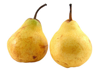 Pears