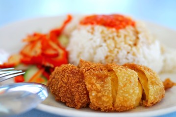 Chicken rice delicacy