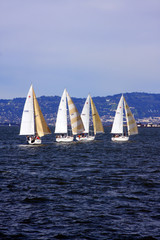 Fototapeta premium Sailing in San Francisco Bay
