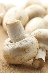 Mushrooms close-up