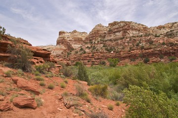 Calf Creek Falls Trail, near Escalante, Utah