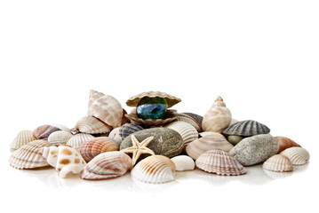 various color shells with stylized pearl isolated on white