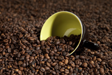 Cup in coffee beans